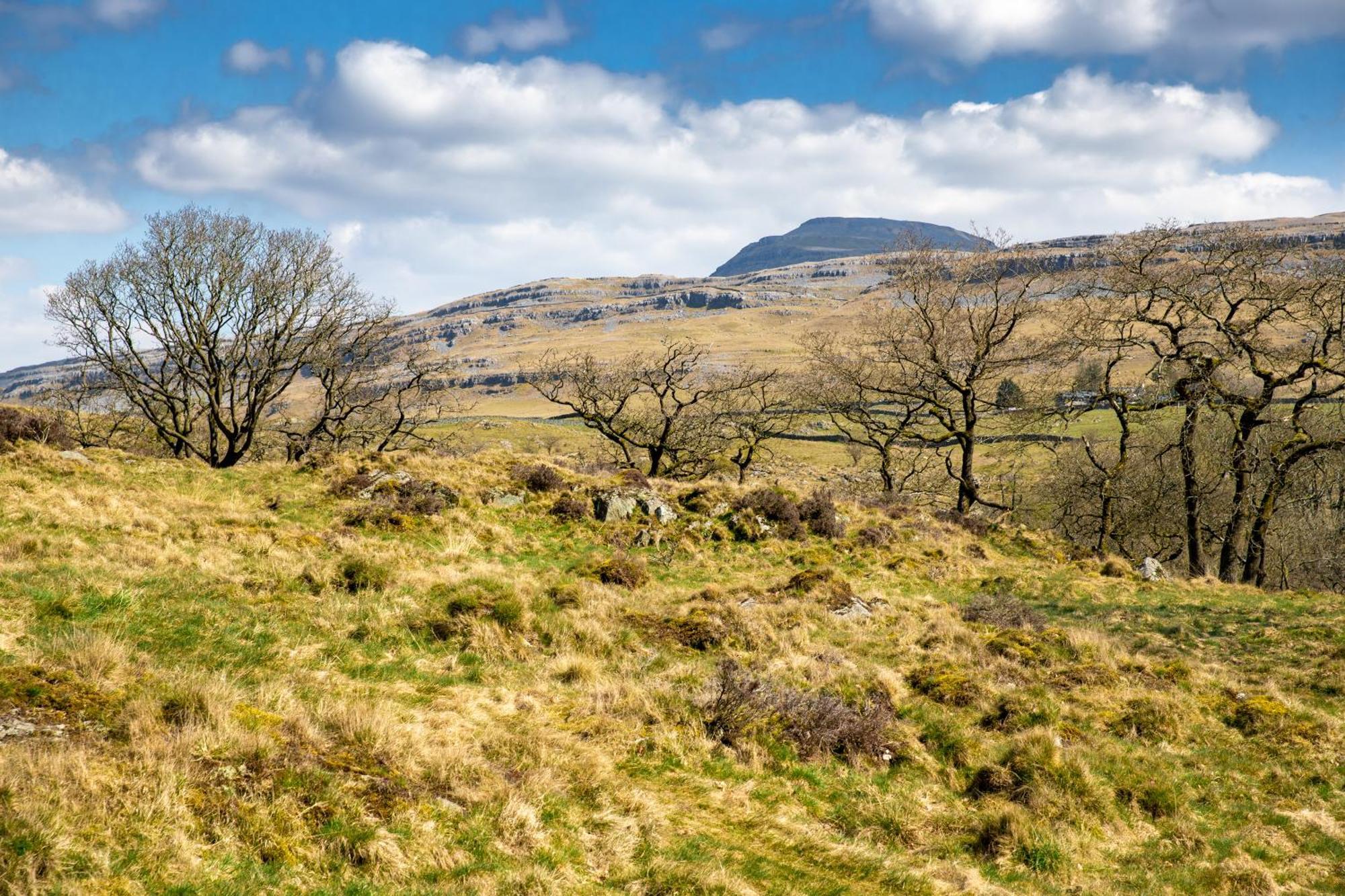 Falls Park Ingleton  Eksteriør bilde